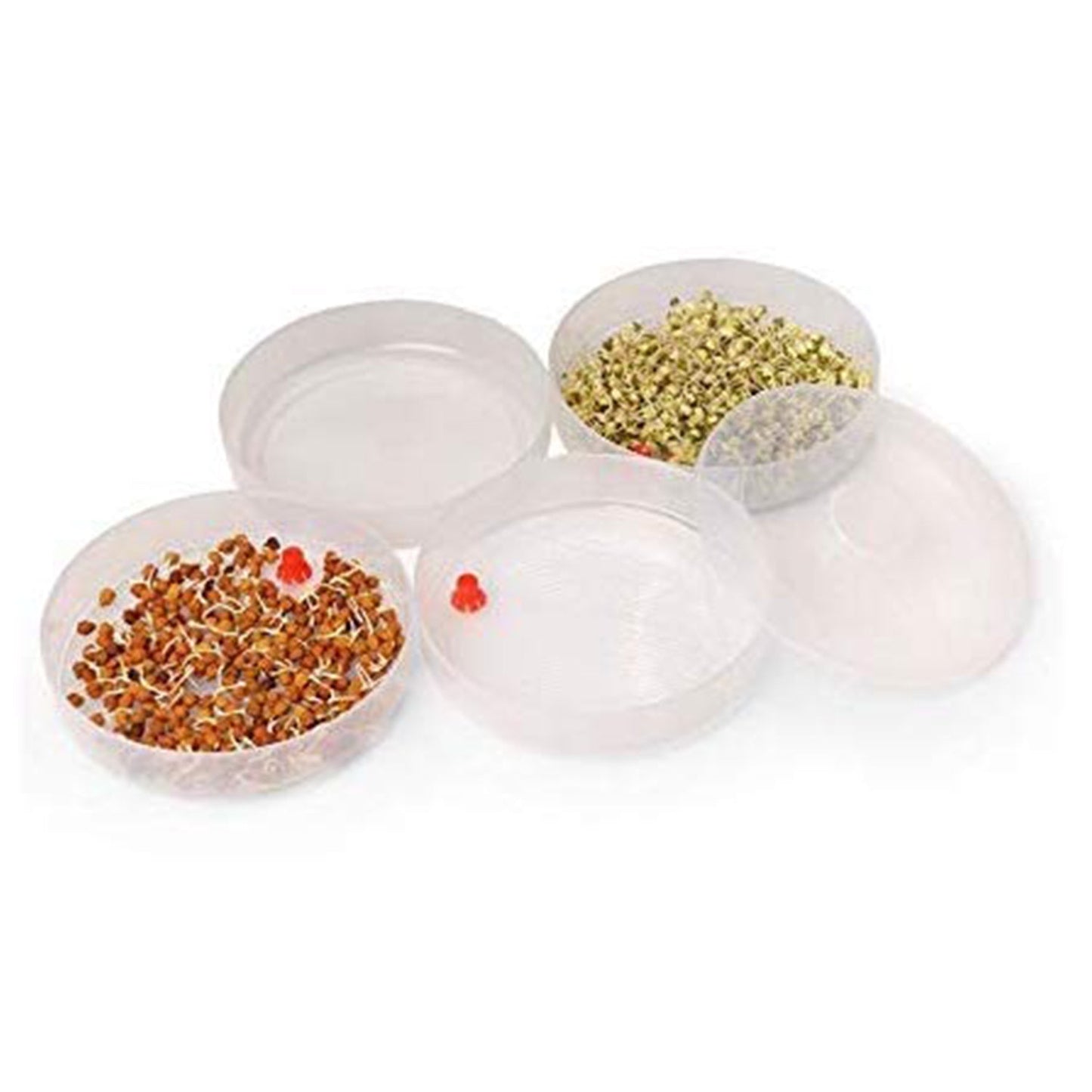 Miracle Plastic Healthy Hygienic Sprout Maker with 3 Compartments for Home, Kitchen (1 Pc)