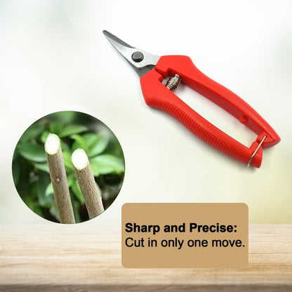 Durable stainless steel pruning scissors, ideal for cutting fruit trees and plants.